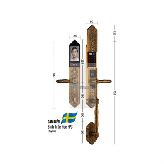 KHÓA ĐẠI SẢNH BIỆT THỰ DEMAX SL988 GB BRASS - APP WIFI